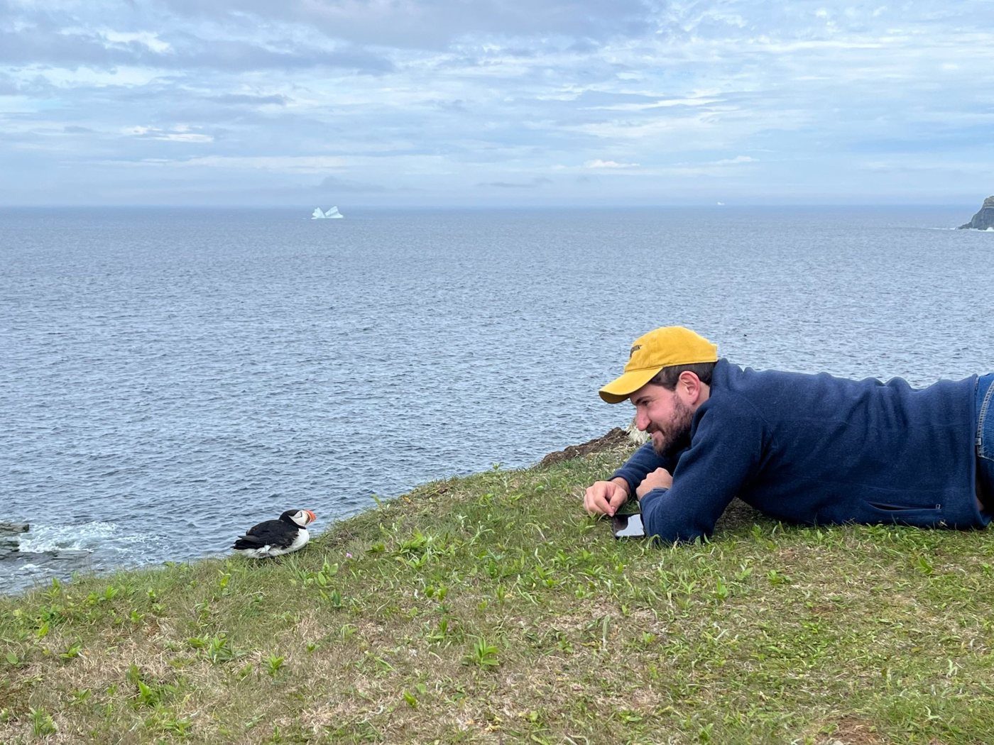 Watching a puffin from a cliff in Newfoundland, iceberg behind
