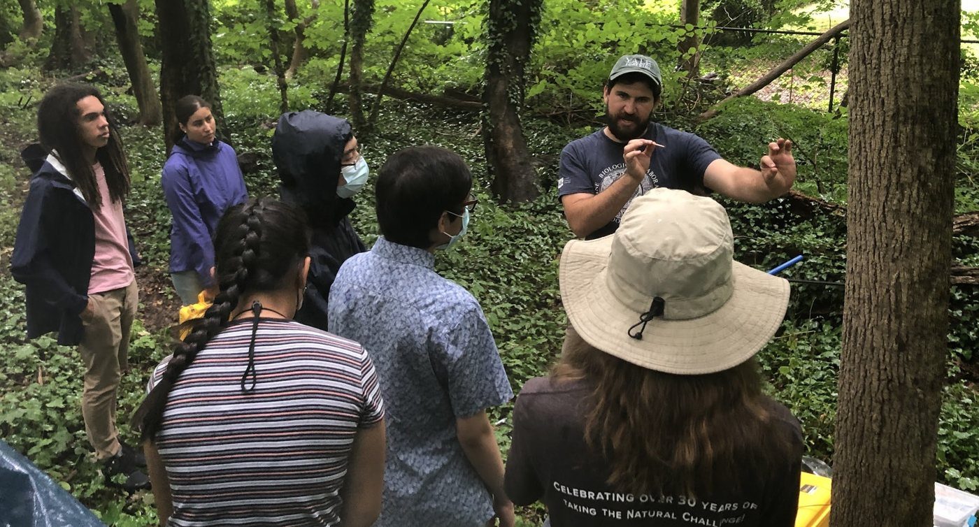 Students in the field